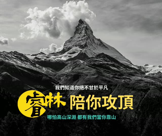 睿林教育 Reach The Top 品牌圖